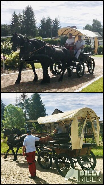 Kutsche / Planwagen, Patricia, Carriages, Kalbe Milde, Image 3