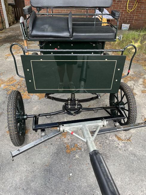 Kutsche Wagonette Trainingswagen Marathonwagen Pony, Saskia, Carriages, Westerkappeln , Image 6