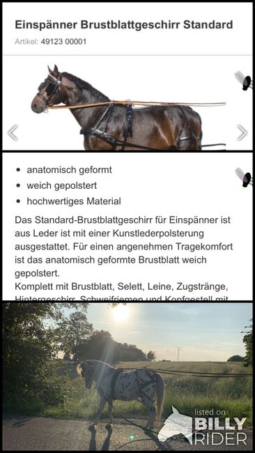 Kutsch Geschirr, Loesdau Brustblatt Geschirr , Mylène , Horse Harness, Neunkirchen-Seelscheid, Image 4