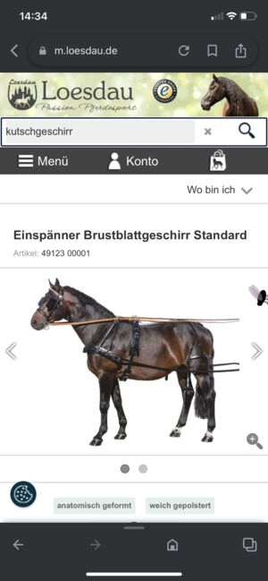 Kutsch Geschirr, Loesdau Brustblatt Geschirr , Mylène , Horse Harness, Neunkirchen-Seelscheid