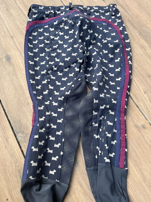 Verschiedene Reithosen Cavallo Accademia Euro Star Gr. S, Verschiedene , Uschi Nowlan, Breeches & Jodhpurs, München, Image 12