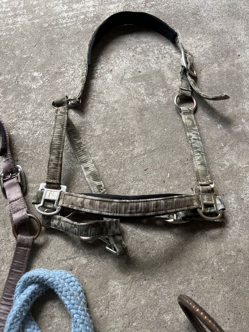 Verschiedene Halfter und Stricke, Verschiedene , Uschi Nowlan, Halters, München, Image 2