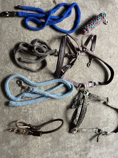 Verschiedene Halfter und Stricke, Verschiedene , Uschi Nowlan, Halters, München, Image 3