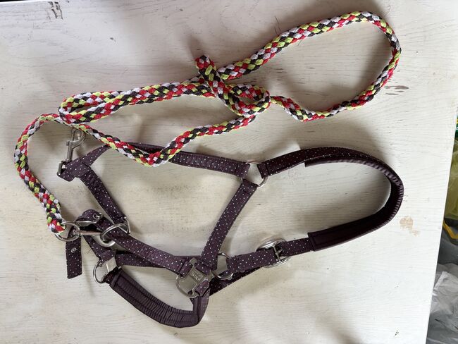 Verschiedene Halfter, Mareike, Halters, Bad Harzburg