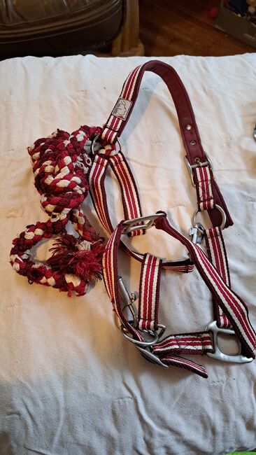 Diverse Halfter mit Strick, Hüther, Halters, Berlin , Image 7