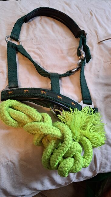 Diverse Halfter mit Strick, Hüther, Halters, Berlin , Image 6