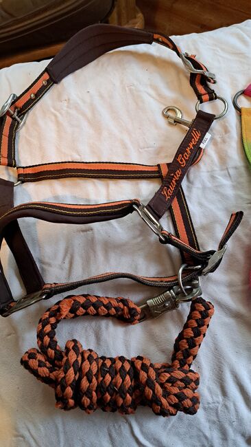 Diverse Halfter mit Strick, Hüther, Halters, Berlin , Image 3