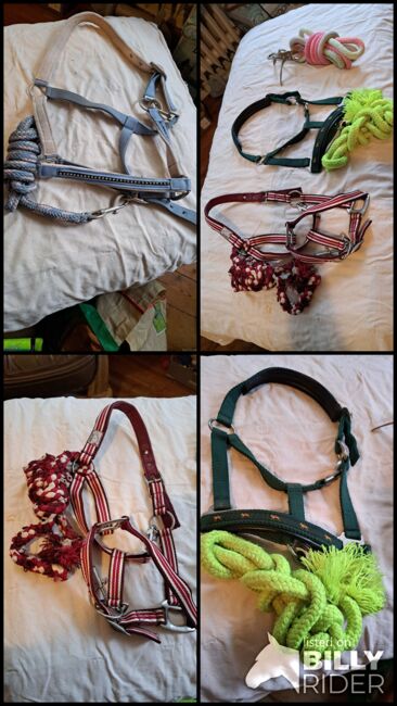Diverse Halfter mit Strick, Hüther, Halters, Berlin , Image 9