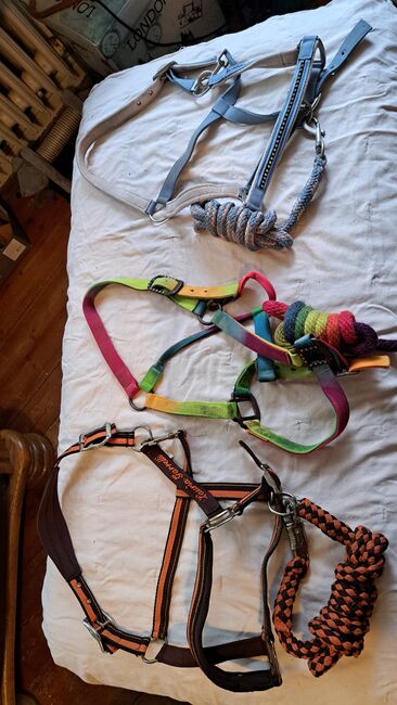 Diverse Halfter mit Strick, Hüther, Halters, Berlin , Image 4