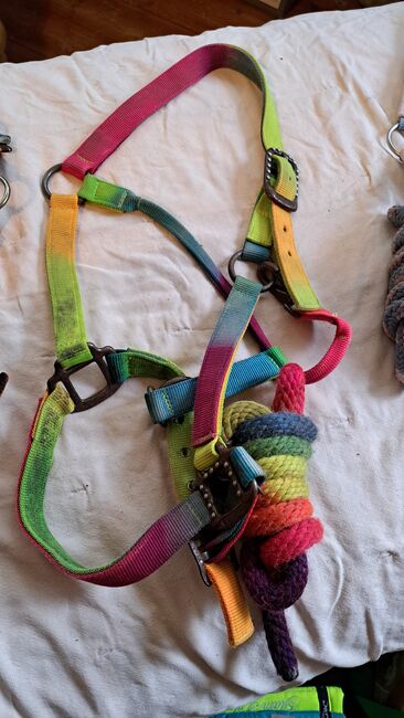 Diverse Halfter mit Strick, Hüther, Halters, Berlin , Image 2