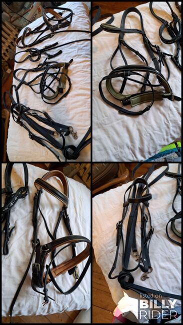 Diverse Trensen /Reithalfter, Hüther, Bridles & Headstalls, Berlin , Image 6