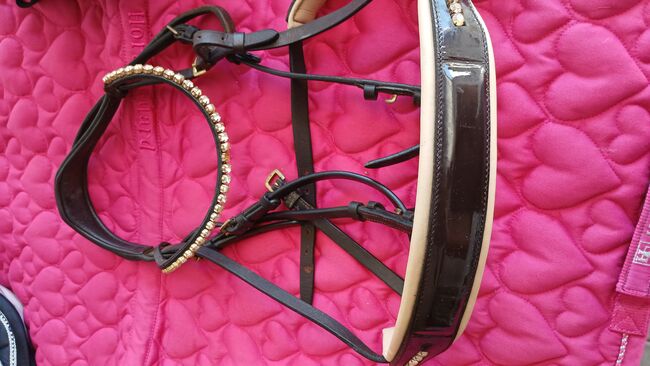 Warmblut Trense, Jessi, Bridles & Headstalls, Bad schussenried 