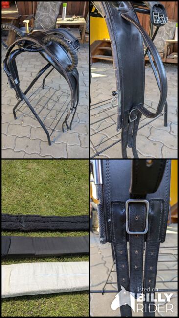 Voltigiergurt Meinecke, Meinecke, Karin Gasser , Lunging, Rappersdorf, Image 6