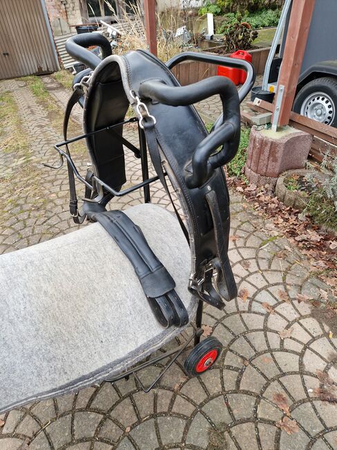 Voltigiergurt, Voltigiergurt , Coenen , Lunging, Panketal , Image 2