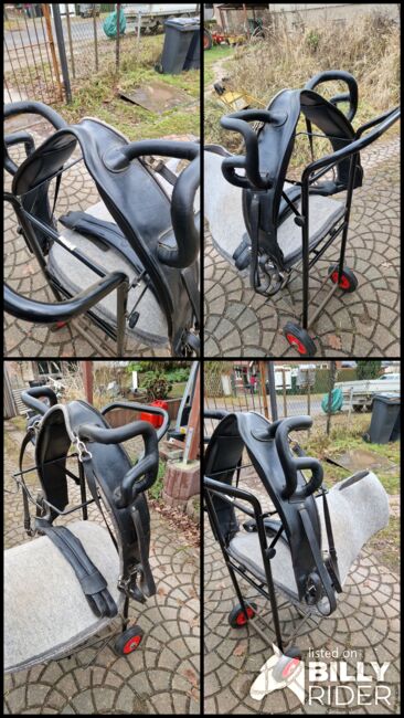 Voltigiergurt, Voltigiergurt , Coenen , Lunging, Panketal , Image 6