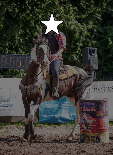 Vielseitiger, ausgeglichener polnischer Sportpferde Wallach, Kerstin Rehbehn (Pferdemarketing Ost), Horses For Sale, Nienburg, Image 13