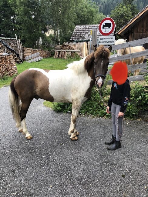 Veigar fra villingavatni, Julia Lintschinger , Horses For Sale, Zederhaus 