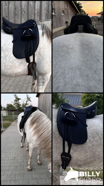 Velicea Skoli, Velicea Skoli , Gabi, Dressage Saddle, Endingen, Image 5