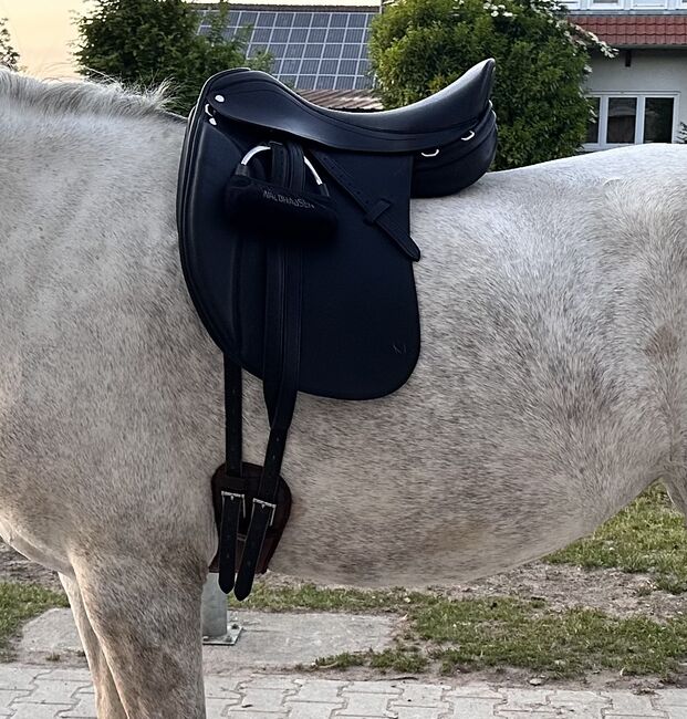 Velicea Skoli, Velicea Skoli , Gabi, Dressursattel, Endingen, Abbildung 2