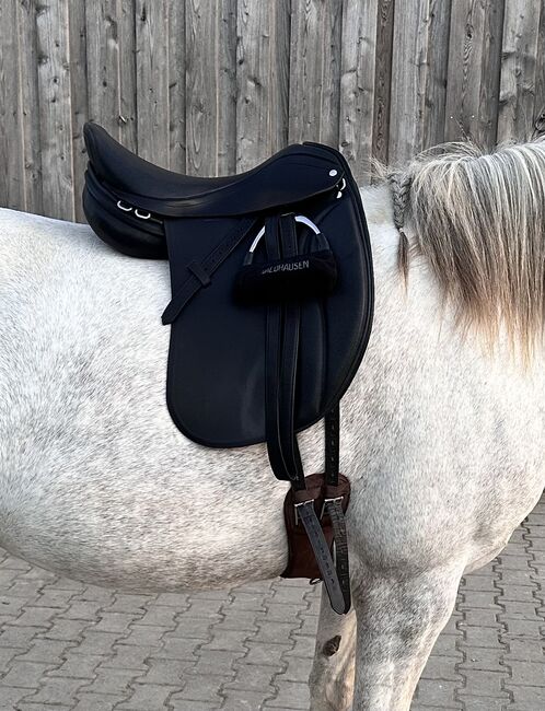 Velicea Skoli, Velicea Skoli , Gabi, Dressursattel, Endingen