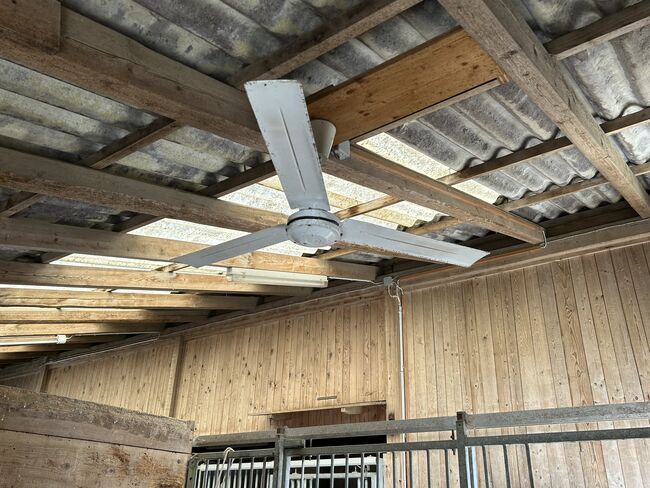 Ventilator für Pferdeboxe, Iris, Paddock-, Boxen- & Stallmatten, Zielebach