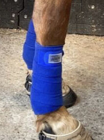 Bandagen Protect, Loesdau Protect HorseFriends, Annika S., Horse Bandages & Wraps, Dornbirn, Image 3