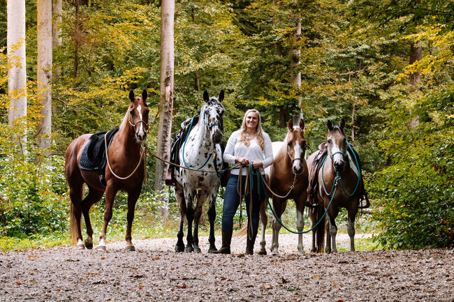 Vergebe Reit- und Pflegebeteiligung  - 72555 Metzingen, Mona Riederer (MR Horsemanship UG), Reitbeteiligungen, Metzingen