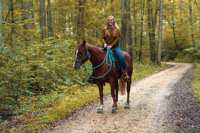 Verkaufe 7 Jährige Quarter Stute - 72555 Metzingen, Mona Riederer (MR Horsemanship UG), Pferd kaufen, Metzingen