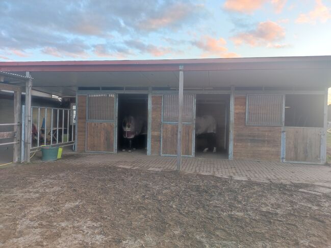 Verkaufe Offenstall 3er Außenboxen, Andrea , Sattelkammer & Boxenausstattung, Hiddenhausen