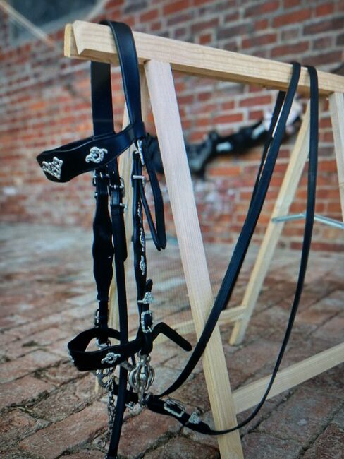 Verkaufe Original Portugiesischen Show Zaum, Sonja, Other, Hausham