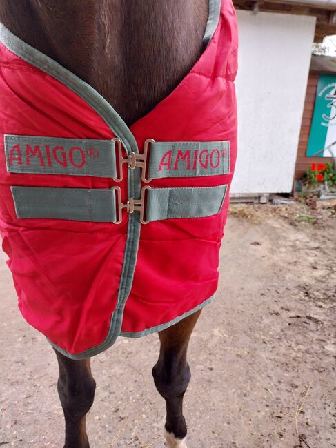 Verkaufe Stalldecke von Amigo 130, Amigo, Pinzgauer, Pferdedecken, Weil am Rhein , Abbildung 2