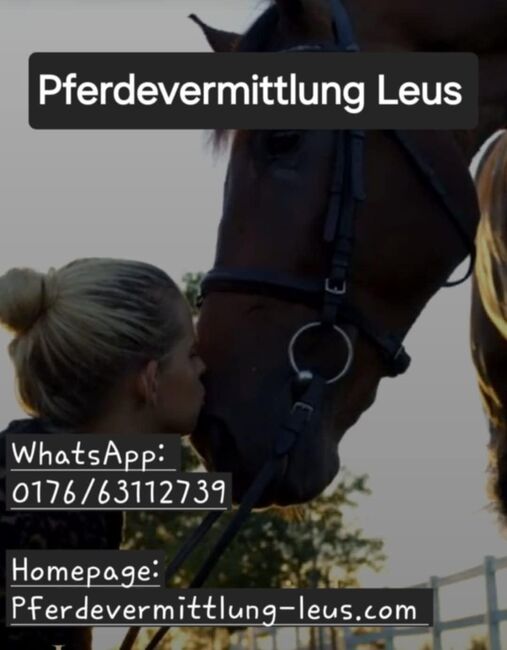 Verkaufsberitt, Katharina Lehmann (Pferdevermittlung Leus), Pferd kaufen, Schnellmannshausen