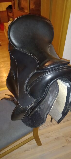 VERKAUFT!! Barefoot Wellington Dressur, inkl. Pad und Zubehör, Barefoot  Wellington , Katrin Kamm , Treeless Saddle, Arberg, Image 11