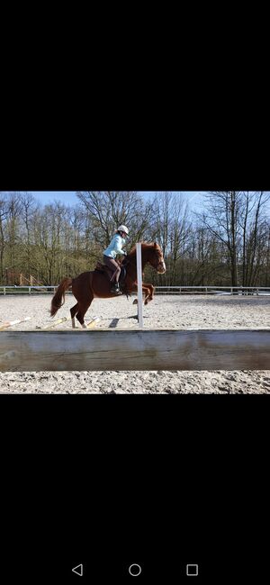Verkaufe Barefootsattel, Barefoot  Nottingham , Saskia , All Purpose Saddle, Römhild 