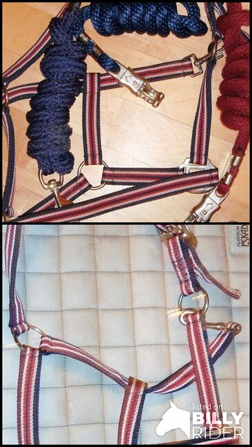 Verkaufe Halfter Gr Cob/Vollblut fast neu, >Nordic Horse<, Halters, Image 3