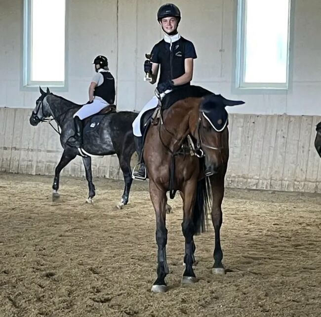 Verkaufe meine liebe braune Stute Csoki, Ida-Katarina Koller, Horses For Sale, Karnabunn , Image 2