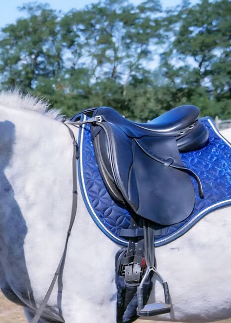 Vielseitigkeitssattel Komplettset, Bucks Icelandic, Ivonne, All Purpose Saddle, Berlin, Image 2