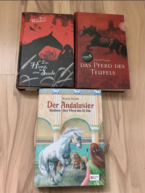 Verschiedene Pferdebücher, Vanessa, Bücher, Nörten-Hardenberg 