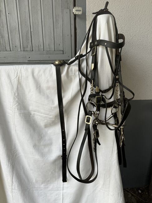 Sehr schöner Kandarenzaum für besondere Anlässe, Kandarenzaum , A.H., Bridles & Headstalls, Ellwangen 