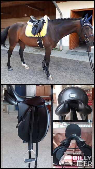 Sehr bequemer Dressursattel, Professionell Rider, Aline Betz, Dressage Saddle, Stegen, Image 3