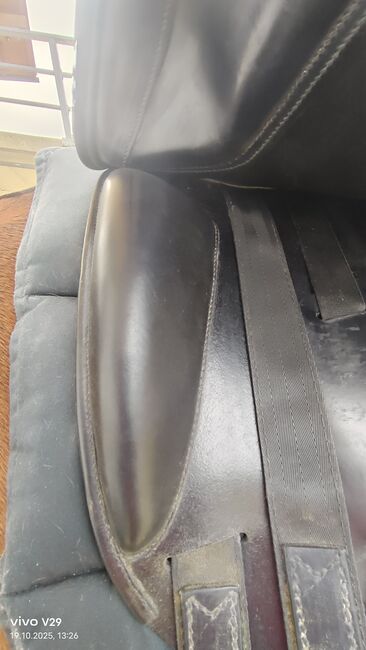 Sehr schöner klassischer Dressursattel von Amerigo 17" top Zustand, Amerigo  Basso, Katja Presch, Dressage Saddle, Sankt Koloman, Image 6