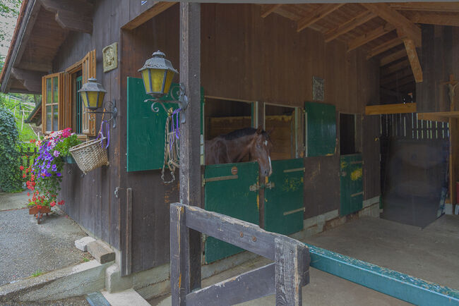 Sehr gepflegter und familiär geführter kleiner Privatstall..., Birgit Rusa, Horse Stables, Laaben, Image 4