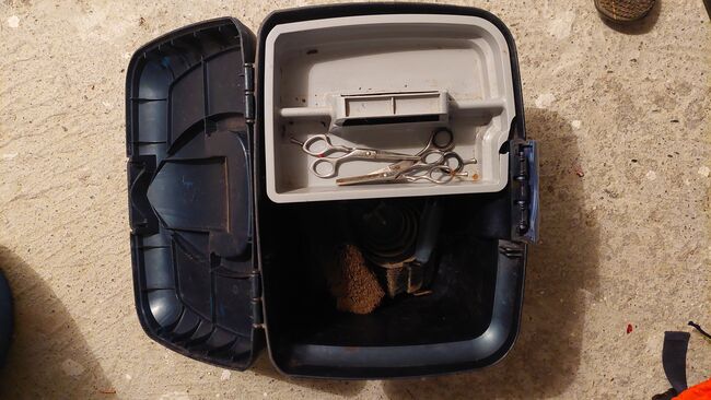 Putzbox mit Inhalt, Felix Bühler, Uschi, Grooming Brushes & Equipment, Widen, Image 2