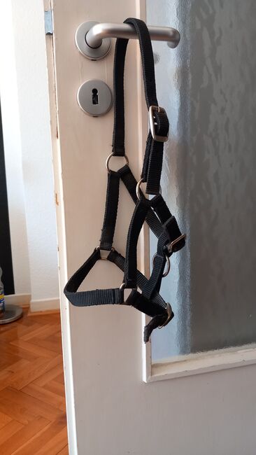 Fohlenhalfter, Marina Grochowski , Halters, Düsseldorf