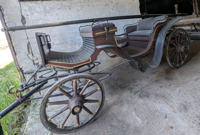 Viktoria Kutsche für Ponys, James Lucas , Carriages, Sasbachwalden