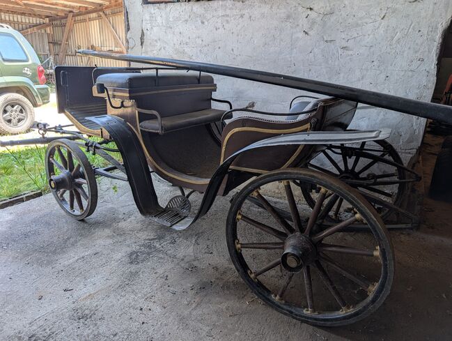 Viktoria Kutsche für Ponys, James Lucas , Carriages, Sasbachwalden, Image 2