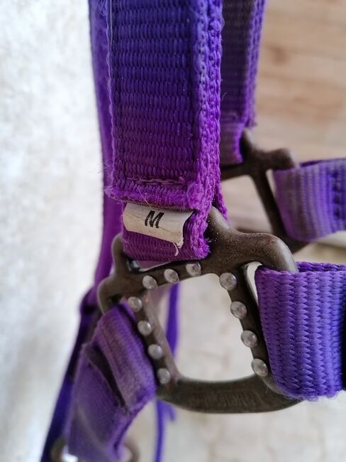 Wildhorn Halfter Busse mit Strick, Sunbeam Ranch! , Halters, Kaufbeuren 