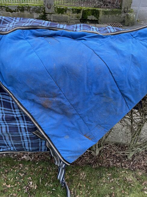 Winterdecke 145 cm, Iris , Horse Blankets, Sheets & Coolers, Borken/Hessen, Image 3