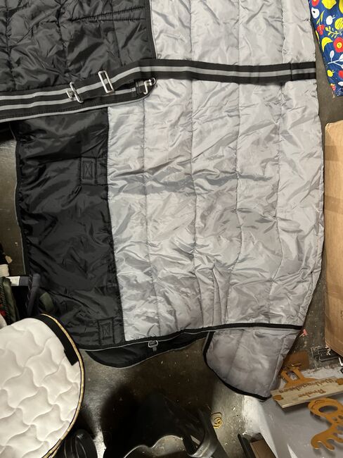Winterdecke 250g 155cm neu mit etikett mit bauchlatz, Julia Krings, Horse Blankets, Sheets & Coolers, Heinsberg, Image 3