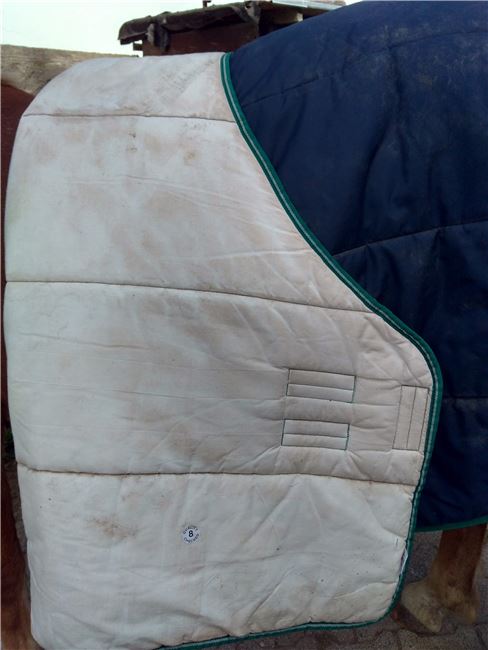 Winterdecke, 300g, 125cm, Christina Fuchs, Horse Blankets, Sheets & Coolers, Maroldsweisach, Image 3
